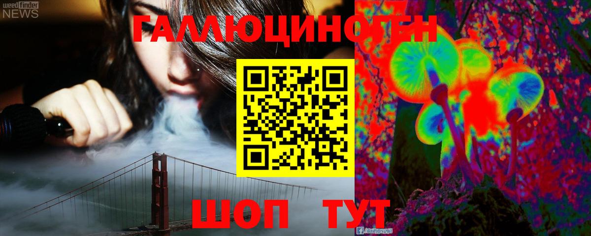 Псилоцибиновые грибы Psilocybe  Вход с VPN  Абакан 